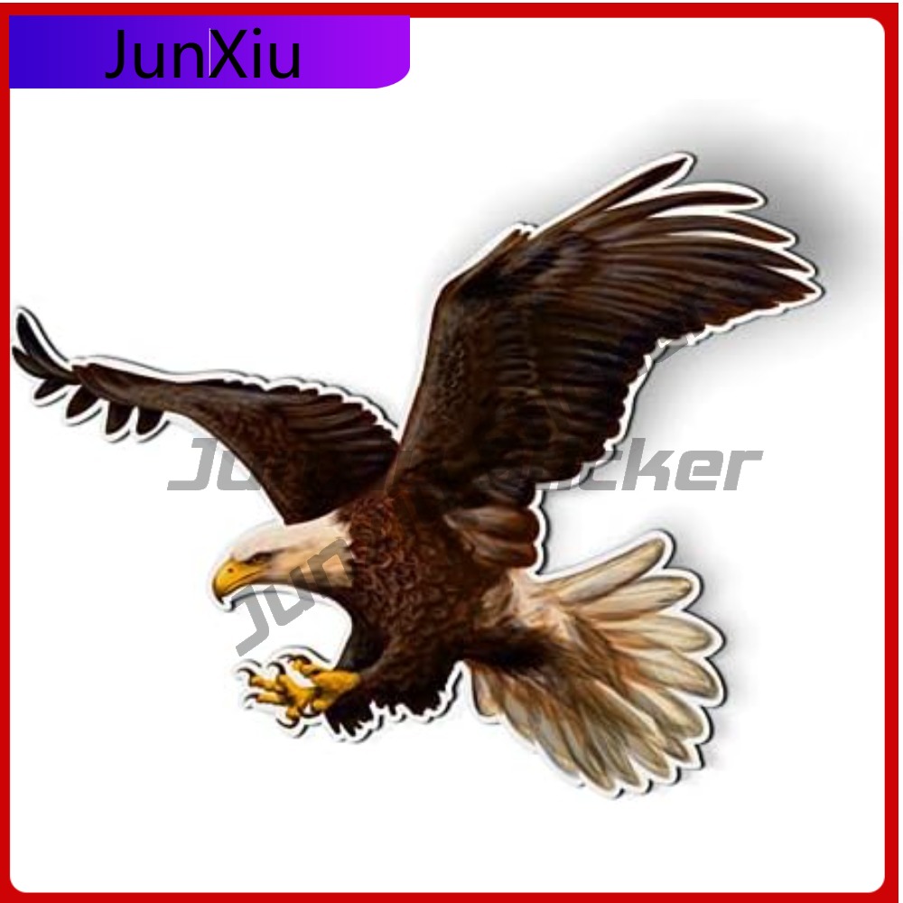 Bald Eagle American Eye Catchi - đánh giá và giá Laptop Accessories You Must Have
