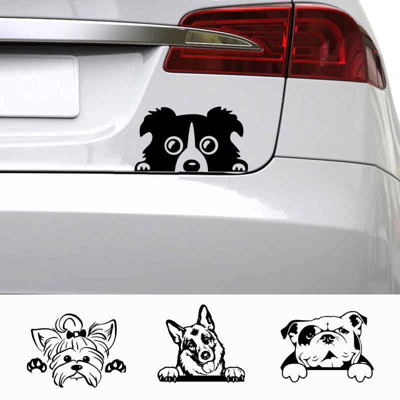 Cars Accessorie Decals Funny D - đánh giá và giá Mac Laptop Accessories